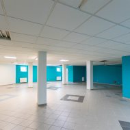 Lokal na wynajem