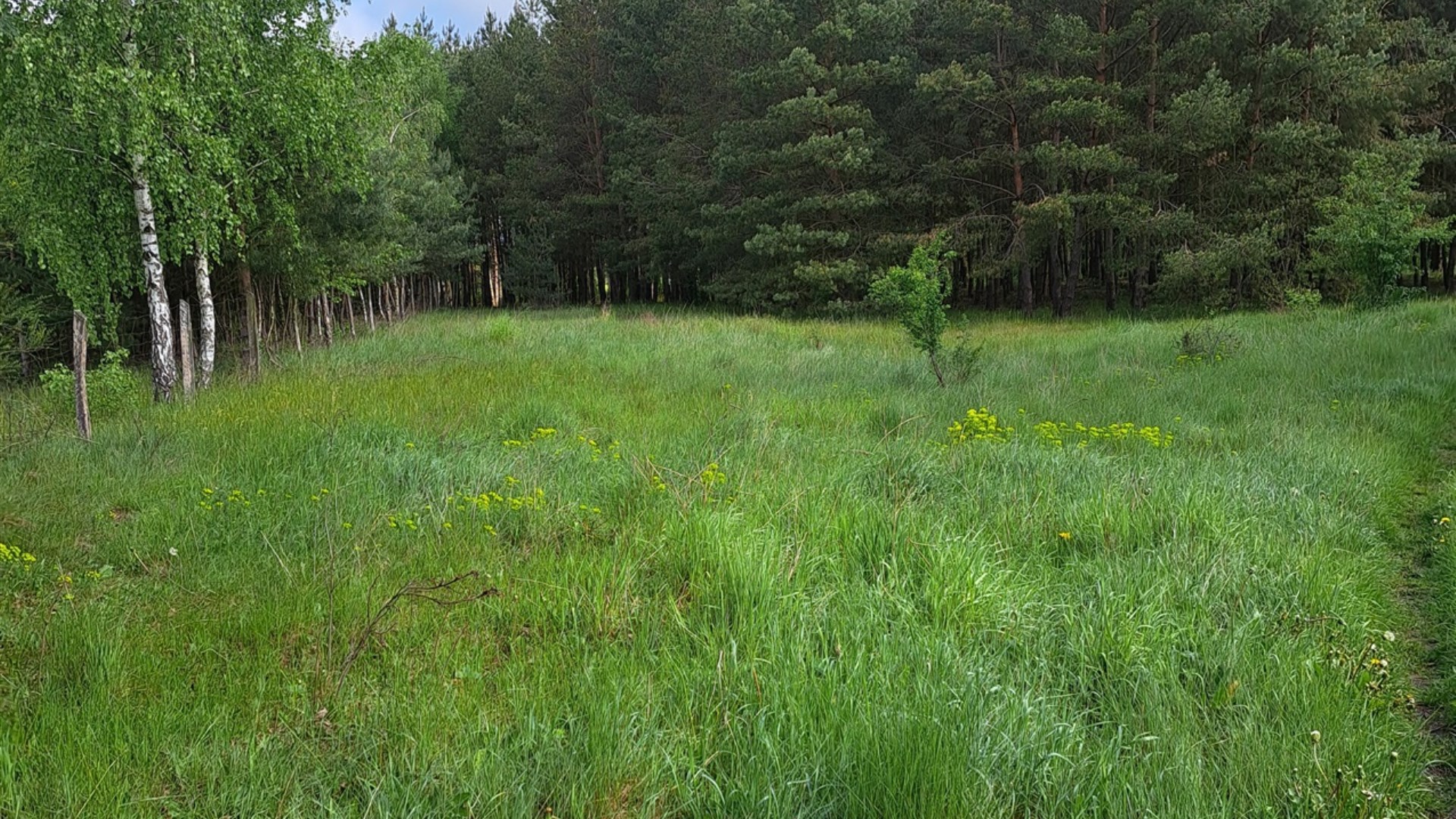Działka na sprzedaż