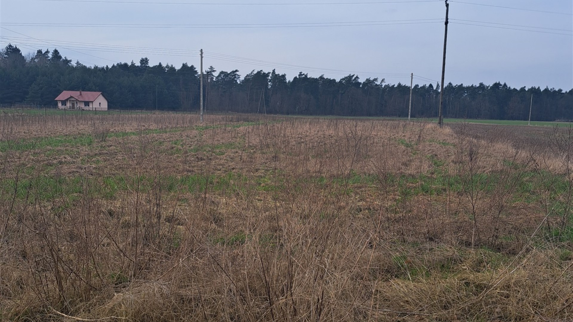 Działka na sprzedaż