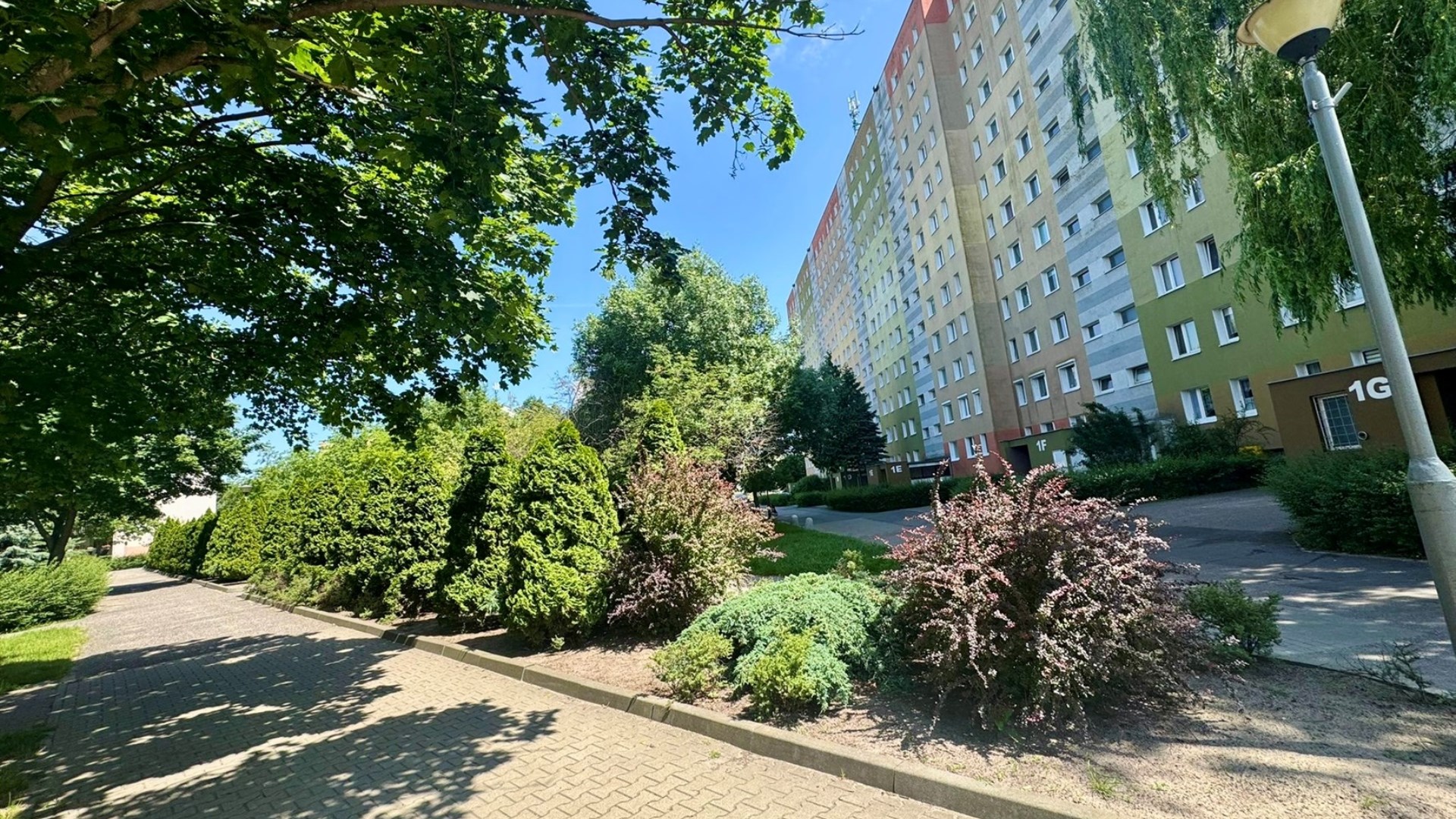 Mieszkanie na wynajem