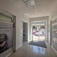Lokal na wynajem