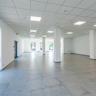 Lokal na wynajem